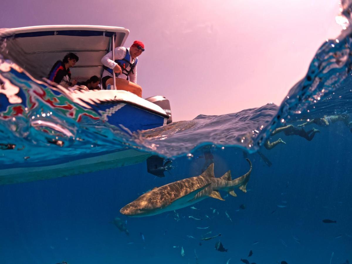 Adroit Beach Inn Guraidhoo  Zewnętrze zdjęcie