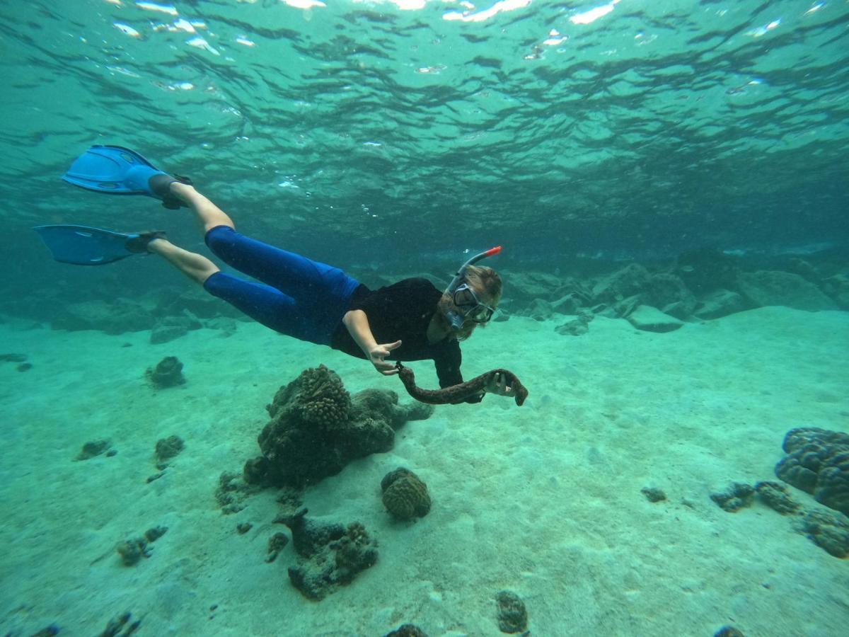 Adroit Beach Inn Guraidhoo  Zewnętrze zdjęcie