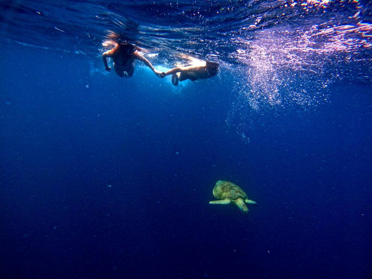 Adroit Beach Inn Guraidhoo  Zewnętrze zdjęcie