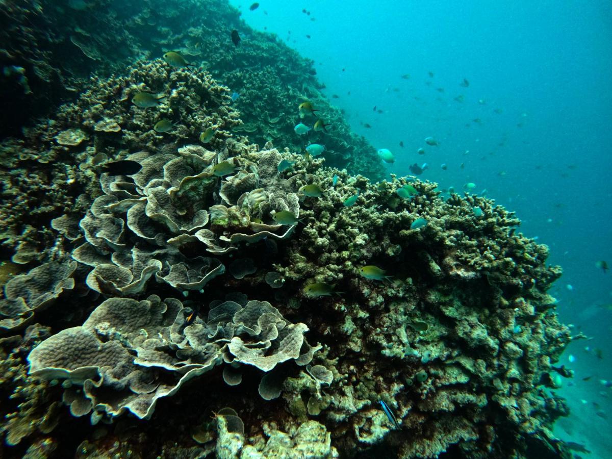 Adroit Beach Inn Guraidhoo  Zewnętrze zdjęcie